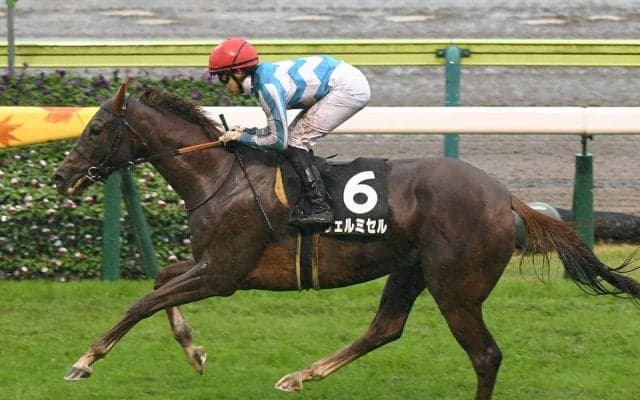 【競馬予想】エリザベス女王杯は人気薄馬の血統も要チェック　本命の有馬記念馬レガレイラに対抗しそうな２頭は？