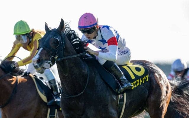 【アンドロメダS】ウエストナウがオープン初勝利