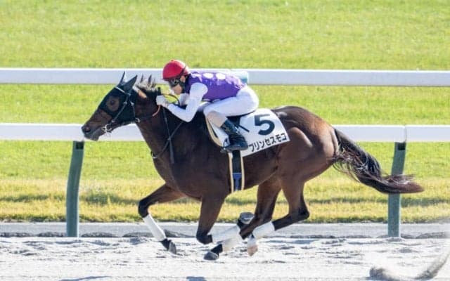 【新馬/京都6R】断然人気プリンセスモコが快勝…北村友は新馬連勝