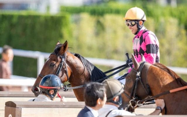 【京都2R】武豊スマートジュリアスが断然の支持に応える