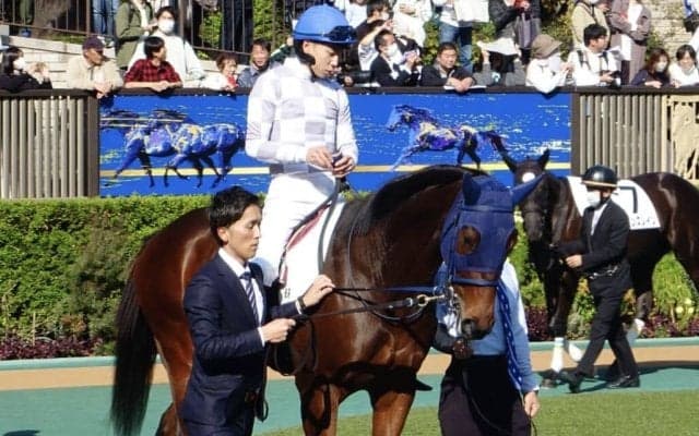 【新馬/東京6R】シスキン産駒 マスターソアラがデビューV…上がり32.8の末脚が炸裂