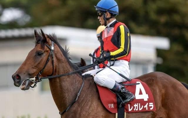 【AI予想・エリザベス女王杯】秋初戦を快勝しますます順調！ 昨年のリベンジへ人工知能も太鼓判