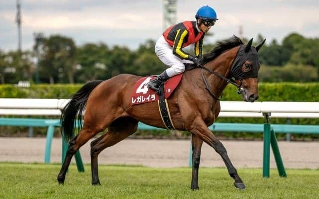 【今日の注目ポイント】秋の女王決定戦エリザベス女王杯