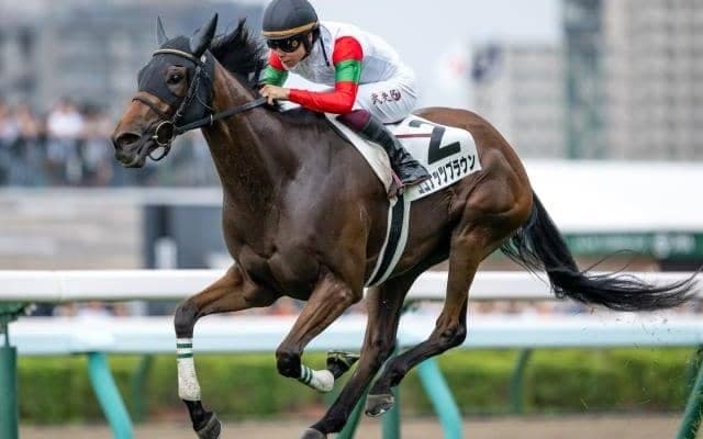 【エリザベス女王杯予想】下半期の最強女王決定戦 瞬発力が勝負を分ける