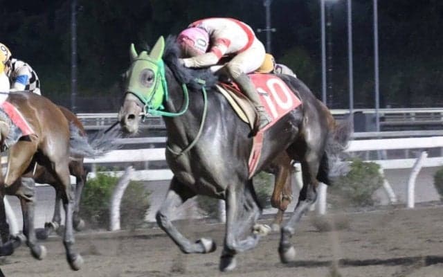 【高知・土佐寒蘭特別】7番人気ピースドライブが豪快差し切りV…6戦目で準重賞初制覇