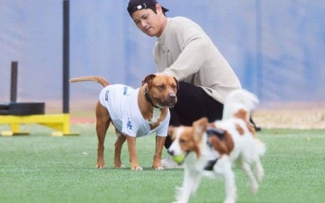 「#友達はデコピン」山本由伸が愛犬の名前を初披露　「散歩、昼寝、ご飯が大好き」　210万人超フォロワー大興奮「陰のMVP」