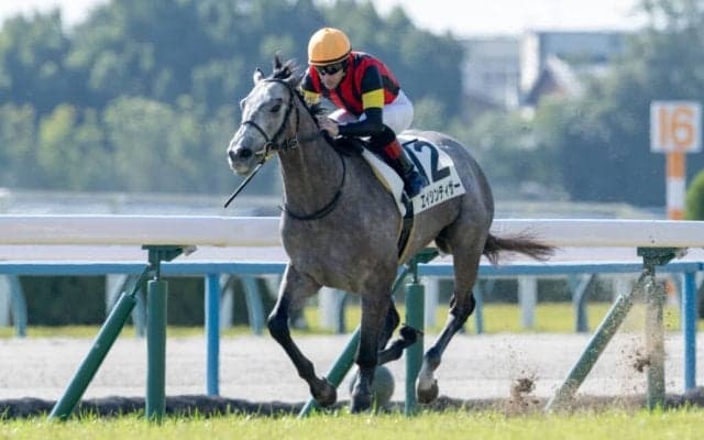 【京都3R】エイシンティザーが初勝利…断然人気アルヴァンドルードは2着