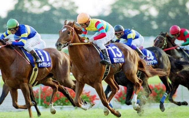 『ウマ娘』では「ウマ娘オタク」のアグネスデジタル　芝、ダートを問わない万能ぶりを示した異次元の末脚