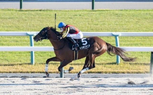 【天橋立S】C.デムーロが本日の4勝目…トリポリタニアで人気に応える