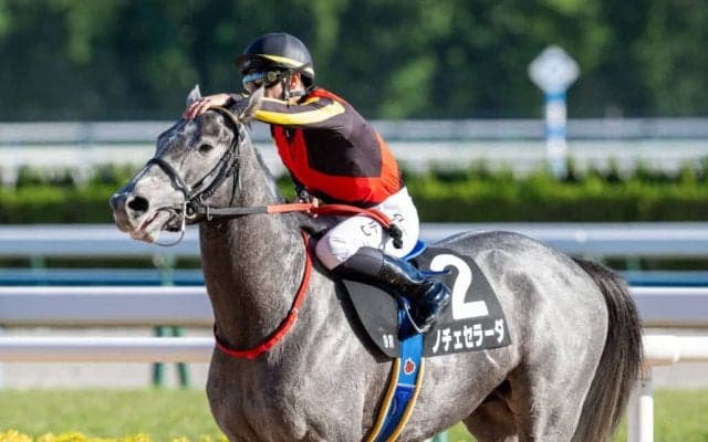 【黄菊賞】C.デムーロ流石の騎乗で6番人気ノチェセラーダがV