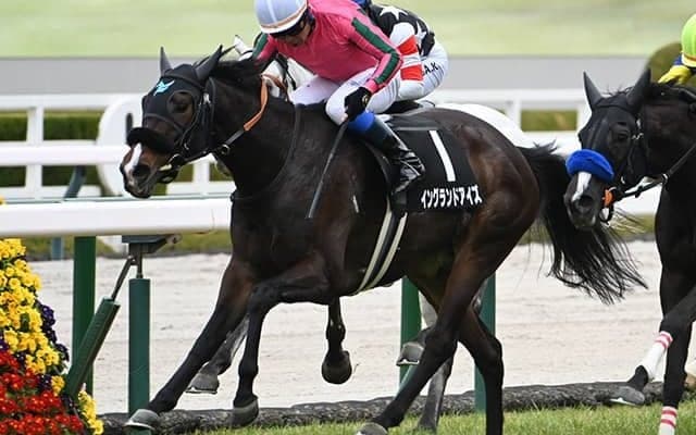 【福島記念】イングランドアイズ、アラタらが登録