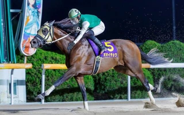 【佐賀・ウインターチャンピオン結果】オオイチョウが3馬身差完勝で重賞初制覇