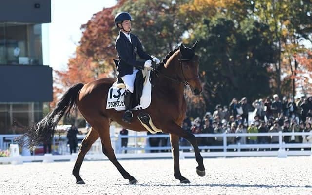 引退競走馬が躍動する「RRC FINAL 2025」 大会を楽しむためのポイントとは？