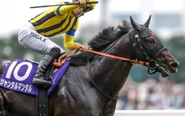 マイルCS、東スポ杯2歳Sなど3重賞/今週の競馬界の見どころ