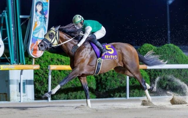 【佐賀・ウインターチャンピオン】オオイチョウが3馬身差の完勝で重賞制覇