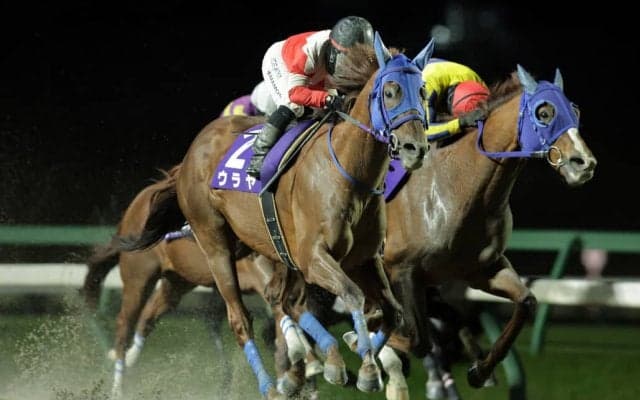 【盛岡・絆カップ】ウラヤが横綱相撲で連覇達成…人気に応えて差し切りV