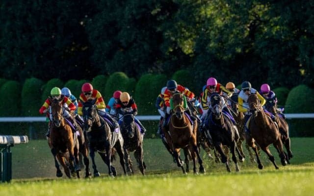 【エリザベス女王杯】C.デムーロ「内にもたれるところがあった」レース後ジョッキーコメント