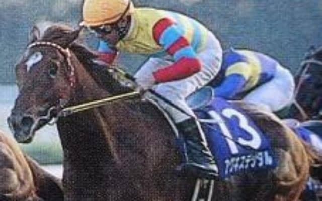 芝での初勝利がGI \"二刀流\"アグネスデジタルが制した00年マイルCSを振り返る