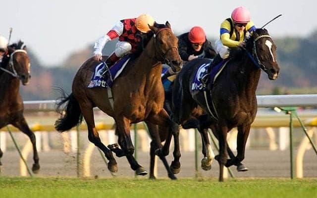 最後の海外馬勝利は20年前 アルカセットが制したジャパンカップ