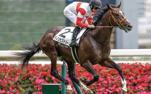 【東スポ杯2歳S見どころ】器大きいダノンヒストリー