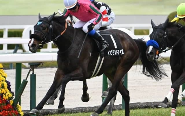 【福島記念見どころ】イングランドアイズが重賞2勝目を狙う