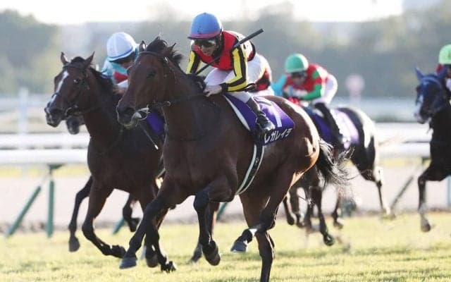 【エリザベス女王杯】ジョッキーカメラに見たレガレイラ・戸崎圭太のブレない映像に、ファン感嘆「ベリベリジョッキー」