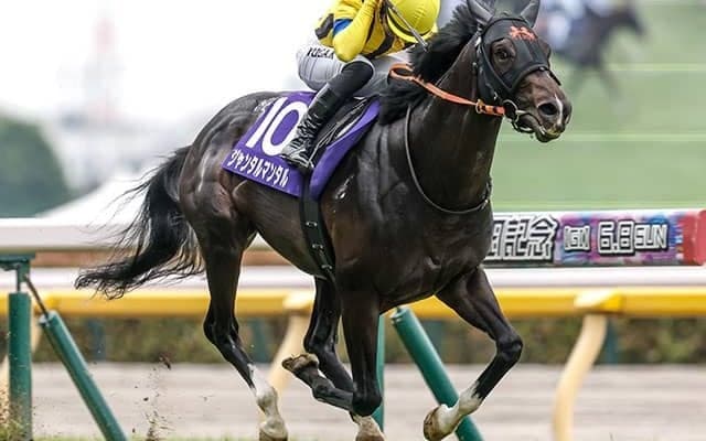 【マイルCS想定騎手】ジャンタルマンタルは川田将雅騎手、アスコリピチェーノはC.ルメール騎手