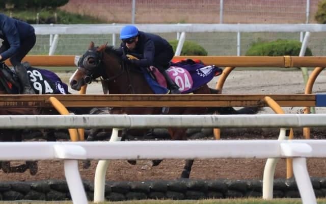 おじはダービー馬シャフリヤール 月曜東京で初陣迎えるグラスベルグ/関西馬メイクデビュー情報