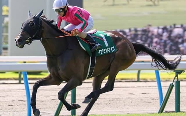 【福島記念想定騎手】イングランドアイズは松若風馬騎手、クリスマスパレードは戸崎圭太騎手