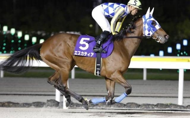 【川崎・ロジータ記念】トライアルを制したエスカティアは6枠9番