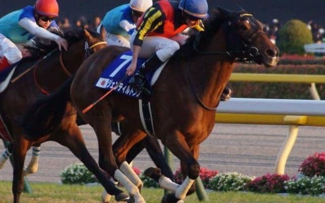 史上最多の同一馬主・同一JRA平地GI・4連覇 サンデーレーシングの名馬たち