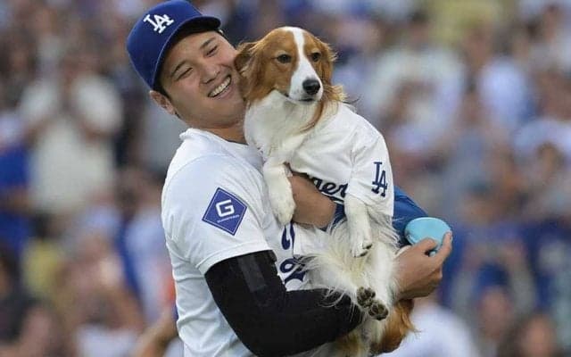 MLB公式が突如投稿したデコピン　大谷と見つめる“歴史”…並んだ20「凄さが一目瞭然」