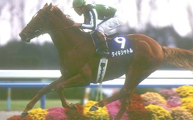 1位は最強マイラーが魅せた5馬身差の大楽勝 マイルCS着差ランキングTOP5