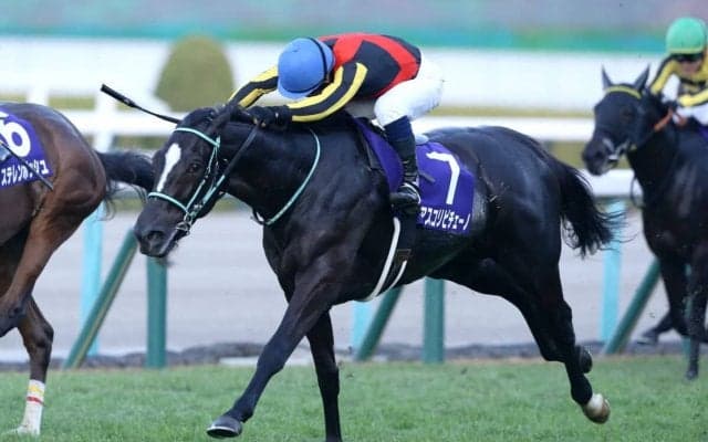 【マイルCS／危険な人気馬】マイルGI馬3強の一角に“黄信号”データ浮上　消しレベルの「1/63と0/4」