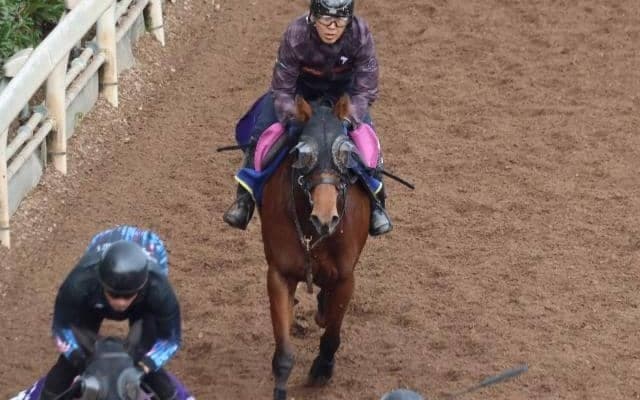 アンティフォナの2023(ラミアスペランツァ)など、先週の入厩情報/栗東トレセンニュース