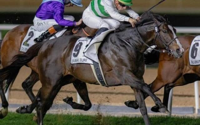 【マイルCS】ソウルラッシュが史上7頭目の連覇へ 今年はC.デムーロ騎手とタッグ