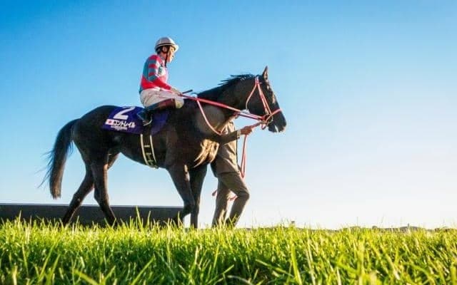 親子制覇達成の三冠馬が1位 種牡馬別ジャパンC勝利数ベスト3