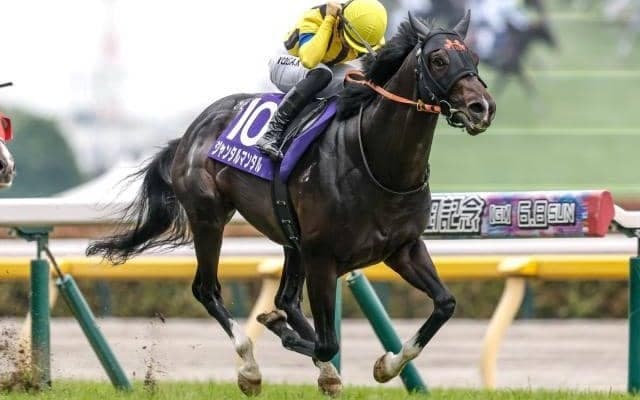 【マイルCS予想オッズ】ジャンタルマンタルが予想1番人気