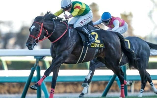 【福島記念予想オッズ】エコロヴァルツが予想1番人気