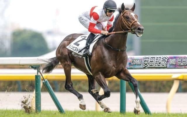 【東スポ杯2歳S予想オッズ】ダノンヒストリーが予想1番人気