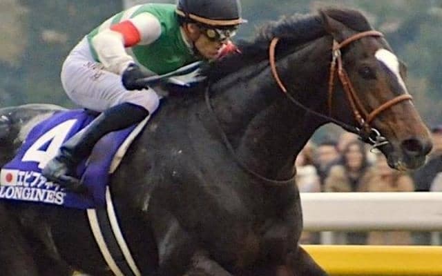 2歳リーディングを独走中 豪華メンバーの中で魅せたエピファネイアの圧勝劇