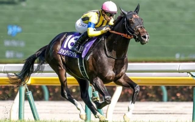 【マイルCS予想】人気馬か伏兵か AIは心強い実績馬を指名