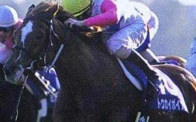 マル地のトウカイテイオー産駒が波乱の主役に 02年マイルCSを振り返る