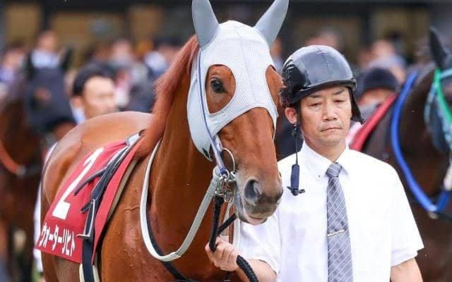 【マイルCS】2年目の高杉吏麒騎手 ウォーターリヒトでGI初制覇なるか