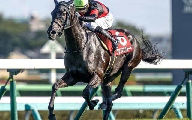 【福島記念出走馬・騎手確定】クリスマスパレード＆戸崎圭太騎手、エコロヴァルツ＆A.プーシャン騎手など16頭