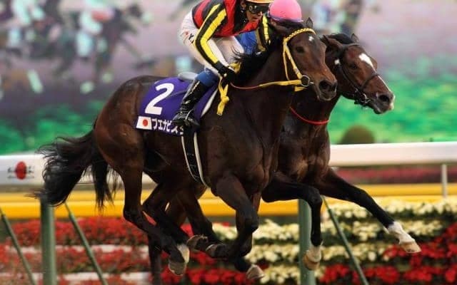 1位は穴馬激走で30万円超の波乱 ジャパンC3連単配当ランキングベスト3