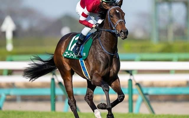 「ウマ娘」の藤田晋オーナー 今週末は渾身の6頭出しだ