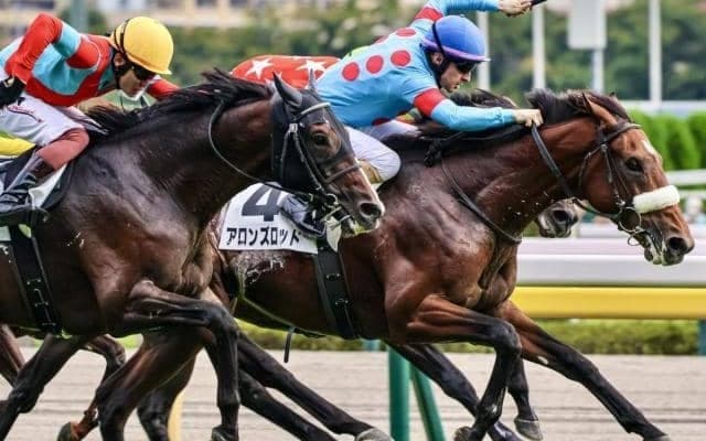 【南武特別】母は名牝アーモンドアイ アロンズロッドが3連勝なるか
