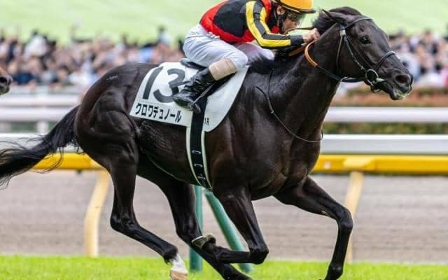 凱旋門賞からのローテでジャパンCに出走した日本馬たち