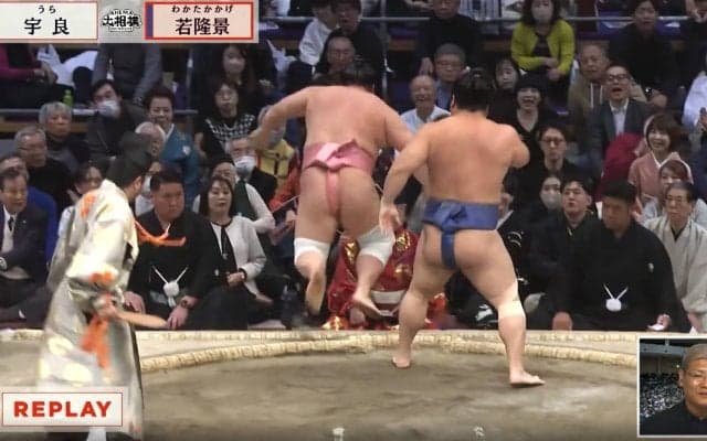 人気力士が「コロコロ転がって…」客席に一直線のハプニング 館内騒然も「これはご褒美」「おじさま方嬉しそう」安堵とほっこり